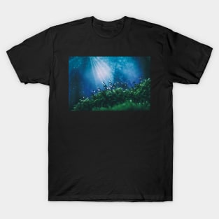 Mystery forest T-Shirt